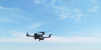 Wheat: Breeding the future through the digital eye