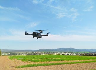 Wheat: Breeding the future through the digital eye
