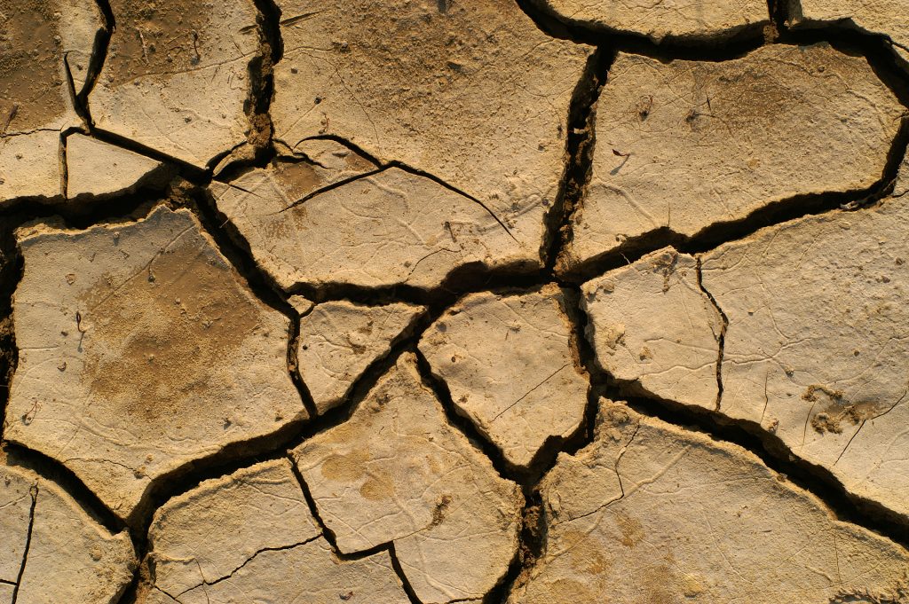Climate change: Resilience needed in agriculture