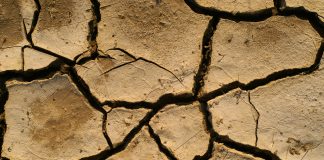 Climate change: Resilience needed in agriculture