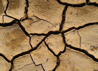 Climate change: Resilience needed in agriculture