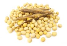 Teler én produsent wen met dié saad