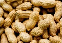 Groundnut industry at a crossroads