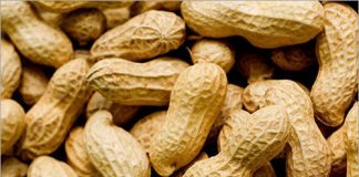 Groundnut industry at a crossroads