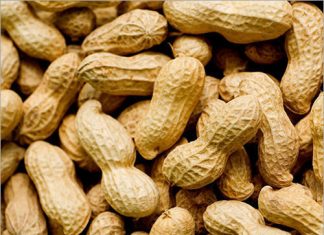 Groundnut industry at a crossroads