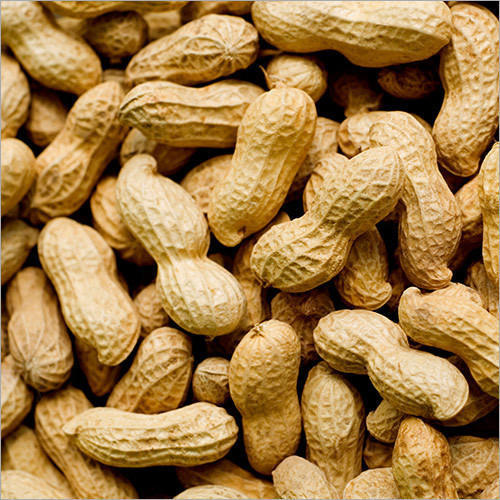 Groundnut industry at a crossroads