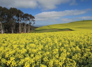 Opbrengsresultate – só lyk ’23 se syfers