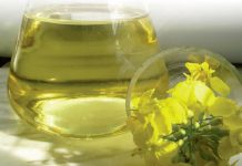 Faktore wat kanola se olie-inhoud beïnvloed