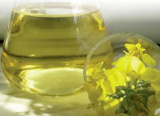 Faktore wat kanola se olie-inhoud beïnvloed