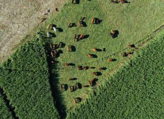 Langplaas se lang pad na grondgesondheid