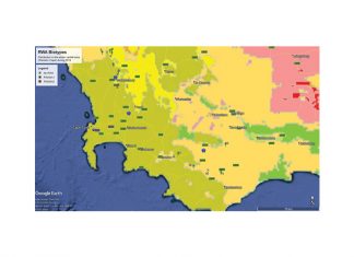 Russian wheat aphid – consequences of management practices