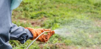 Buy agrochemicals from an accredited crop adviser