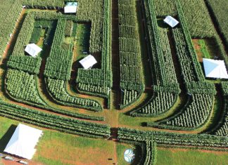 World-class crop shows here again