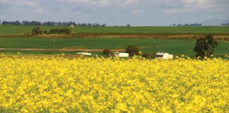 Kanolapaspoort – van produsent tot verbruiker