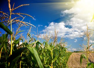 Opbrengskompetisie kry nuwe baadjie