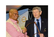 Steely determination needed says chief justice