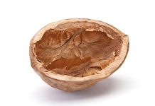 Wegbreeksessies in ’n neutedop