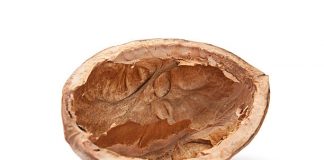 Wegbreeksessies in ’n neutedop