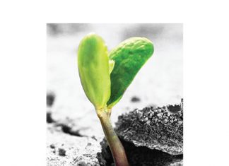 Kan jou boerdery jou bekostig?