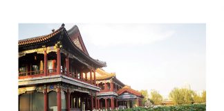 A lot to learn from China’s agricultural strategy