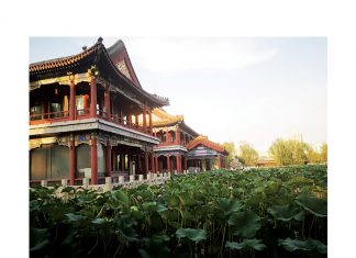 A lot to learn from China’s agricultural strategy