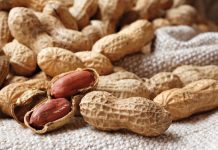 Maak grondboonverbouing ekonomies sin of nie?