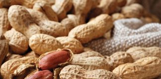 Maak grondboonverbouing ekonomies sin of nie?