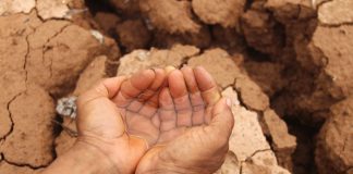 Climate change will impact entire grain value chain