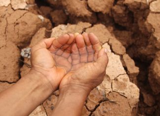 Climate change will impact entire grain value chain