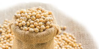 Crop quality results are in