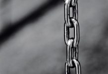 Taking the agricultural value chain into the future