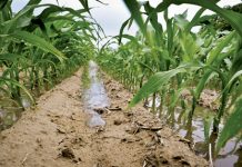 Less soil loss with these designs