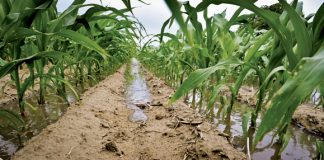 Less soil loss with these designs