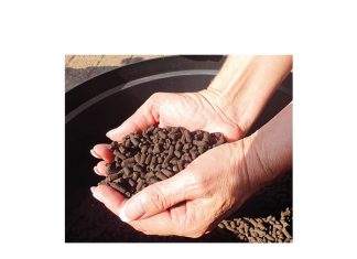 Chemiese en organiese kunsmis saam beste N-bron