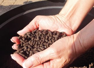 2016 se oes- en kunsmisprysverhouding is gunstig