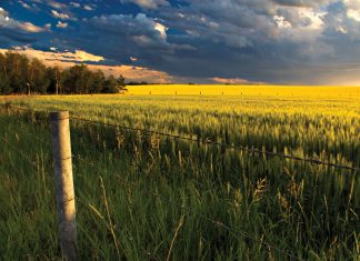 Uitdagende toestande vir Wes-Kaap