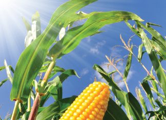 Identifiseer tekorte vroeg vir beter voorsorg