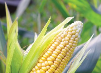 Dié trustaktes gewysig sodat bedryf steeds baat