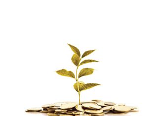 Beter kans op wins met dié beesstelsels