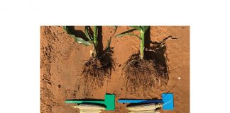 Gereed vir die nuwe plantseisoen?