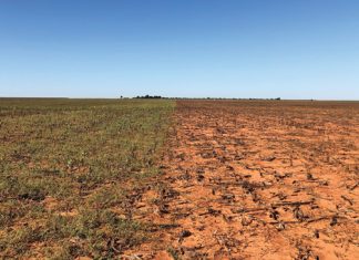 Nie sommer enige glifosaat nie