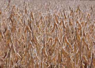 Eindpunt-tantieme lei tot opwindende tegnologie