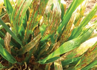 Keeping an eye on RLS