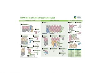 Aktiewes – van a,b,c tot 1,2,3