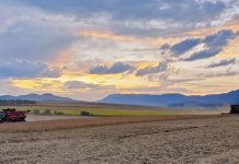 Improving the soybean industry