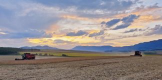 Improving the soybean industry