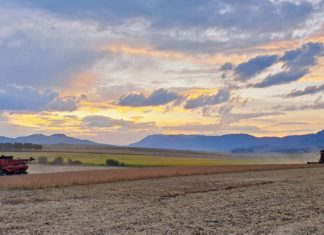 Improving the soybean industry