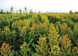 Quality tested in latest survey