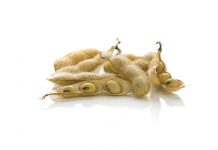 Heffing maak die deur oop vir nuwe tegnologie