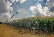 Doeltreffende waterbestuur by mielies